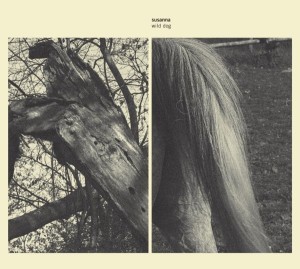 SUSANNA - WILD DOG