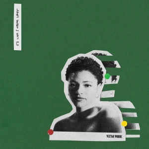 WOODE, NECTAR - IT'S LIKE I NEVER LEFT