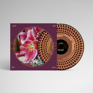HAWLEY, RICHARD - COLES CORNER (20TH ANNIV. HALF SPEED MASTER PICTURE VINYL)