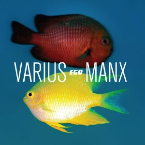 VARIUS MANX - EGO