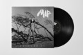 M I P - PASSING BY