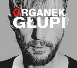 ORGANEK - GŁUPI