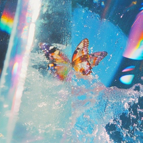 DAPHNI (CARIBOU) - BUTTERFLY