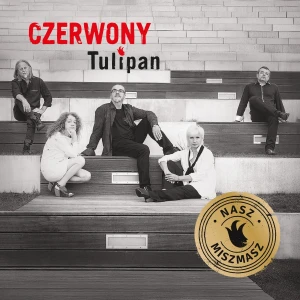 CZERWONY TULIPAN - NASZ MISZMASZ