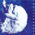 CHAPTERHOUSE - WHIRLPOOL (WHITE & BLACK MARBLE VINYL)