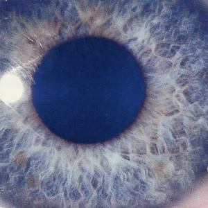 SWANO, DAN - MOONTOWER (DELUXE EDITION)