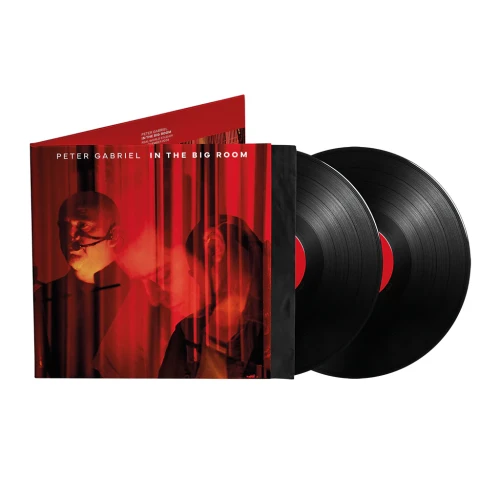 GABRIEL, PETER - IN THE BIG ROOM