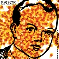 SPONGE - ROTTING PIÑATA