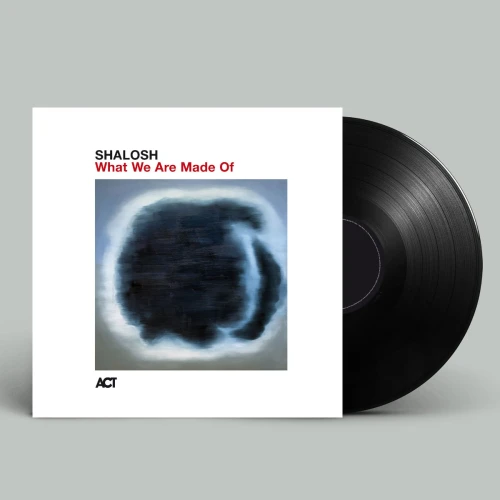 SHALOSH - WHAT WE ARE MADE OF