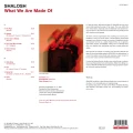 SHALOSH - WHAT WE ARE MADE OF