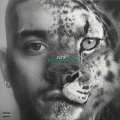 ZAYN - KONNAKOL