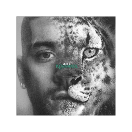 ZAYN - KONNAKOL