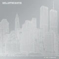BEASTIE BOYS - TO THE 5 BOROUGHS (DELUXE EDITION)