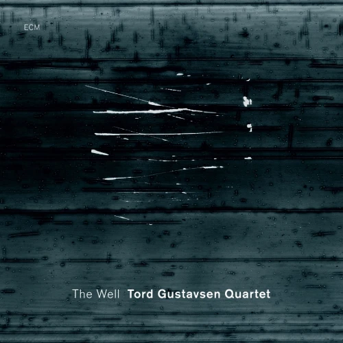 GUSTAVSEN, TORD - THE WELL