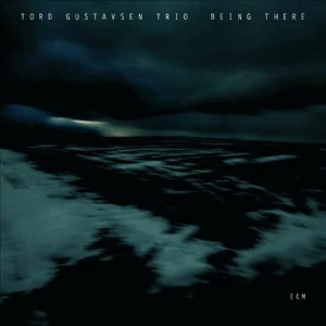 GUSTAVSEN, TORD - BEING THERE