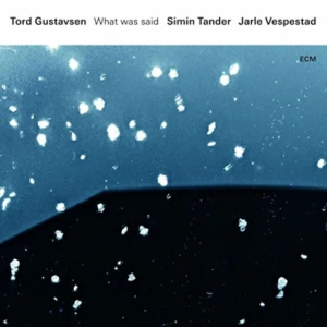 GUSTAVSEN, TORD - WHAT WAS SAID