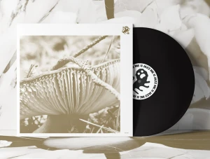 LATE NIGHT POEMS - RISE & BLOOM