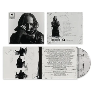 THUNDERCAT - DISTRACTED