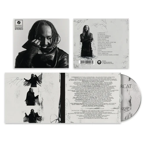 THUNDERCAT - DISTRACTED