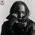 THUNDERCAT - DISTRACTED (CLEAR & BLACK MARBLED VINYL)