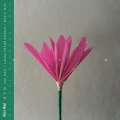 KIRI RA! - NEN