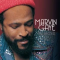 GAYE, MARVIN - COLLECTED (SILVER & WHITE VINYL)
