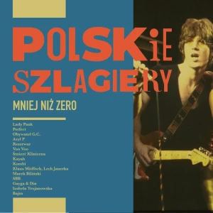 VARIOUS - POLSKIE SZLAGIERY: MNIEJ NIŻ ZERO