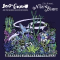 GOLDBLUM, JEFF & THE MILDRED SNITZER ORCHESTRA - NIGHT BLOOMS