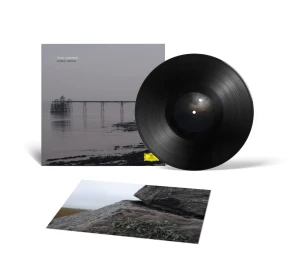 GUDNADOTTIR, HILDUR - WITHOUT SINKING