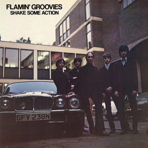 FLAMIN' GROOVIES, THE - SHAKE SOME ACTION (50TH ANNIV.)