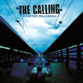 CALLING, THE - CAMINO PALMERO