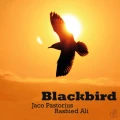 PASTORIUS, JACO - BLACKBIRD (GREEN VINYL)