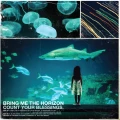 BRING ME THE HORIZON - COUNT YOUR BLESSINGS