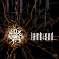 LAMB OF GOD - INTO OBLIVION (TOUR EDITION) (NEON ORANGE & BLACK SPLATTER VINYL)