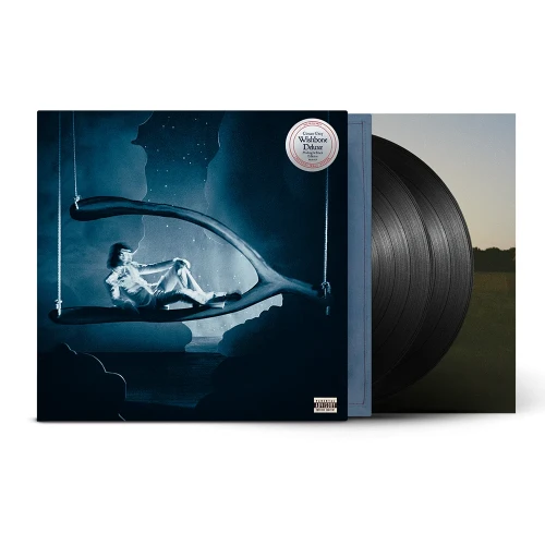 GRAY, CONAN - WISHBONE DELUXE (MIDNIGHT BLACK VINYL)