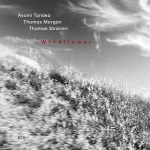 TANAKA, AYUMI TRIO - WINDFLOWER