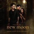 VARIOUS - THE TWILIGHT SAGA: NEW MOON (SOUNDTRACK) (GOLD VINYL)