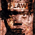 FLAW - THROUGH THE EYES