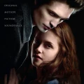 VARIOUS - TWILIGHT (SOUNDTRACK) (MERCURY VINYL)