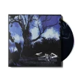 STAIND - BREAK THE CYCLE (25TH ANNIV. LIVE)