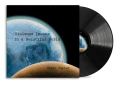 TAYLOR, ROGER - VIOLENCE INSANE IN A BEAUTIFUL WORLD