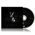 GHØSTKID - FOLLOW THE WHITE RABBIT