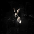 GHØSTKID - FOLLOW THE WHITE RABBIT (NEON PINK VINYL)
