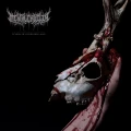MENTAL CRUELTY - ECHOES OF A FORLORN LAND CD