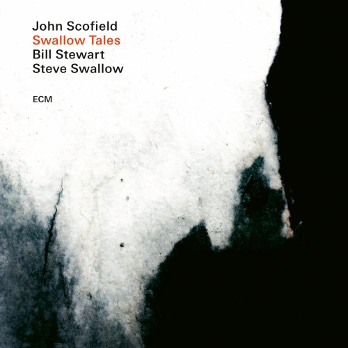 swallow-tales-b-iext60415455.jpg