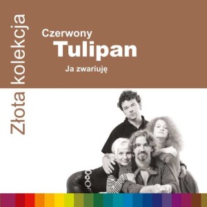CZERWONY TULIPAN - ZLOTA KOLEKCJA