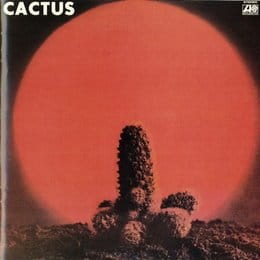 cactus-u-iext36265303.jpg