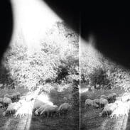 GODSPEED YOU! BLACK EMPEROR  -  ASUNDER SWEET..