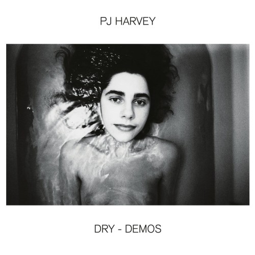 dry-demos-b-iext61929485.jpg