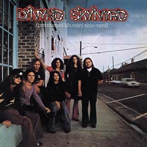LYNYRD SKYNYRD - PRONOUNCED LEH - NERD SKIN - NERD LP